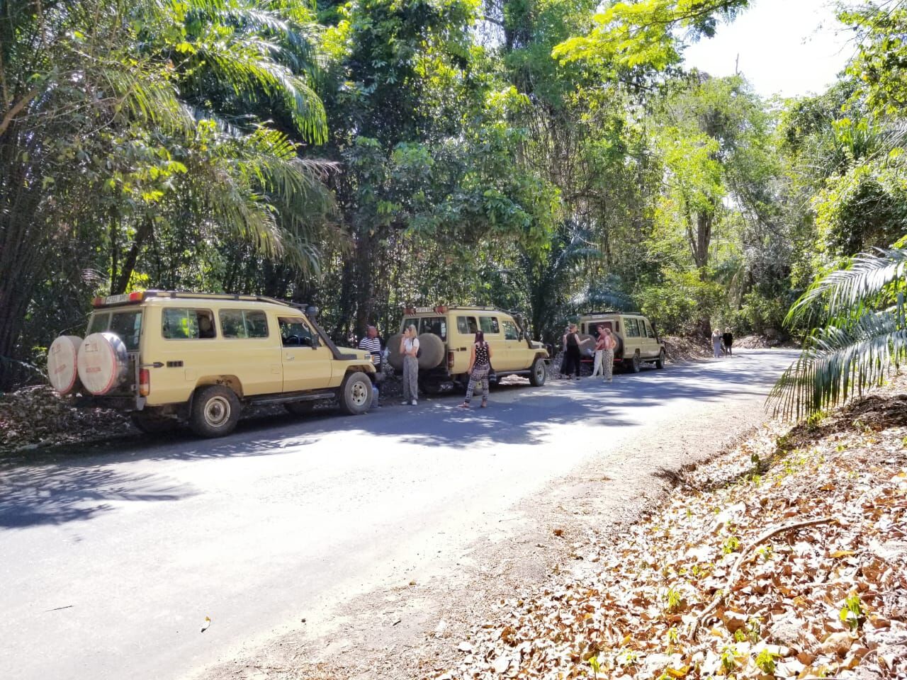 Groupe en safari privé — CAN 2027 et voyage sur mesure en Tanzanie
