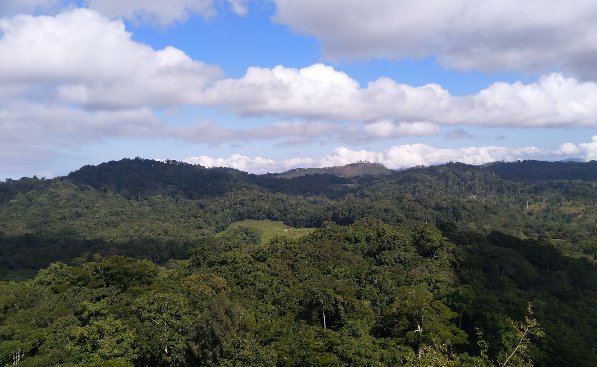 Amani Nature Reserve, région de Tanga