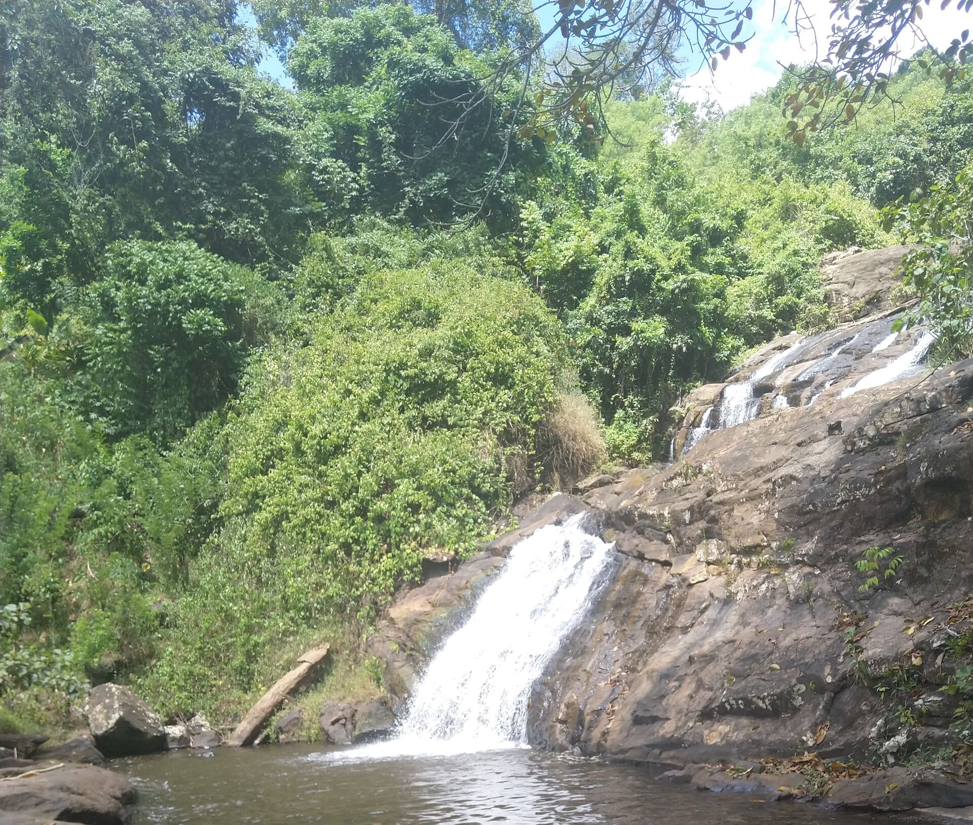 Cascade et forêt tropicale de la Réserve Naturelle d'Amani — retraite bien-être en Tanzanie