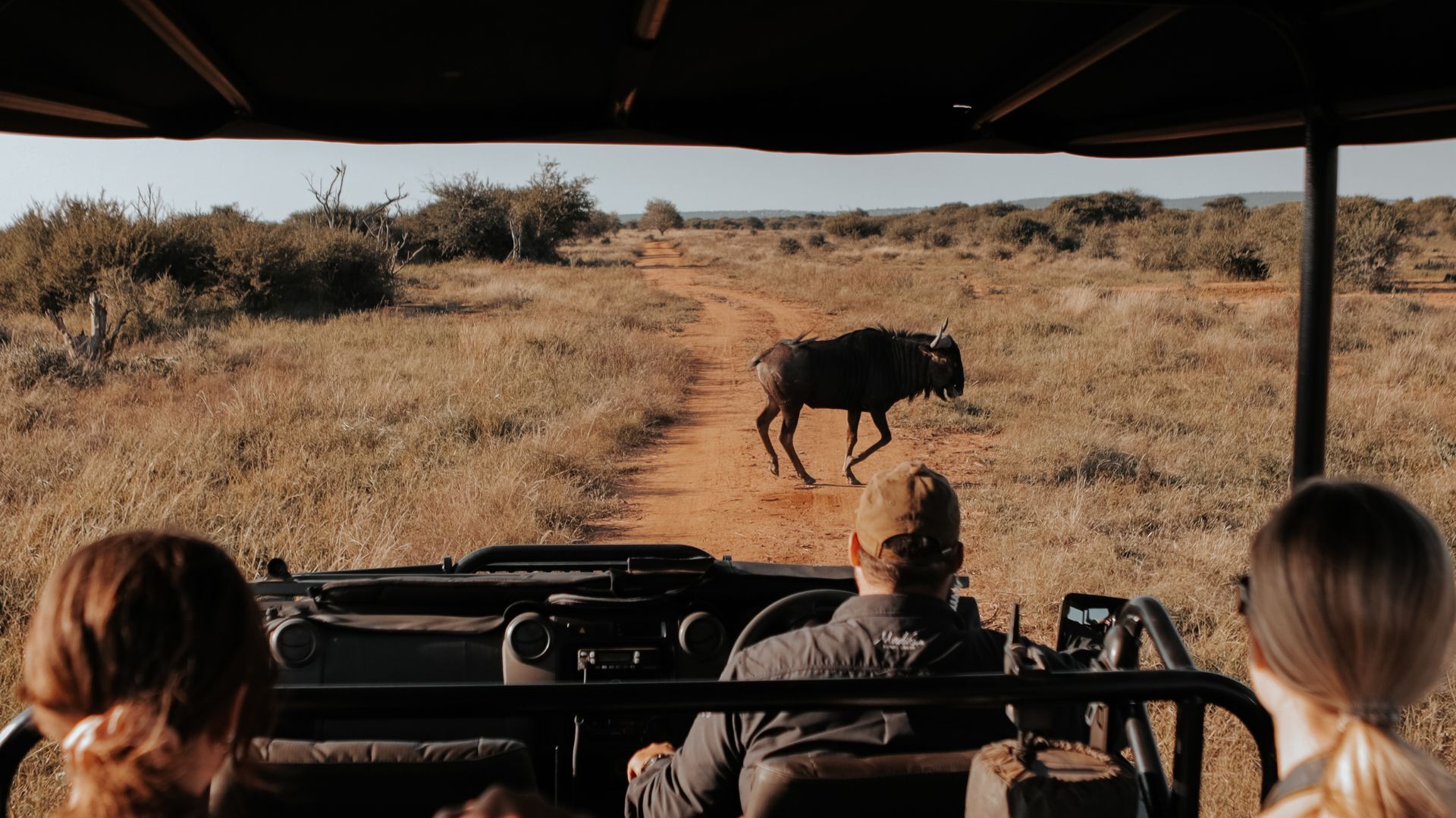 Groupe privé en safari en Tanzanie — jeeps et aventure entre amis