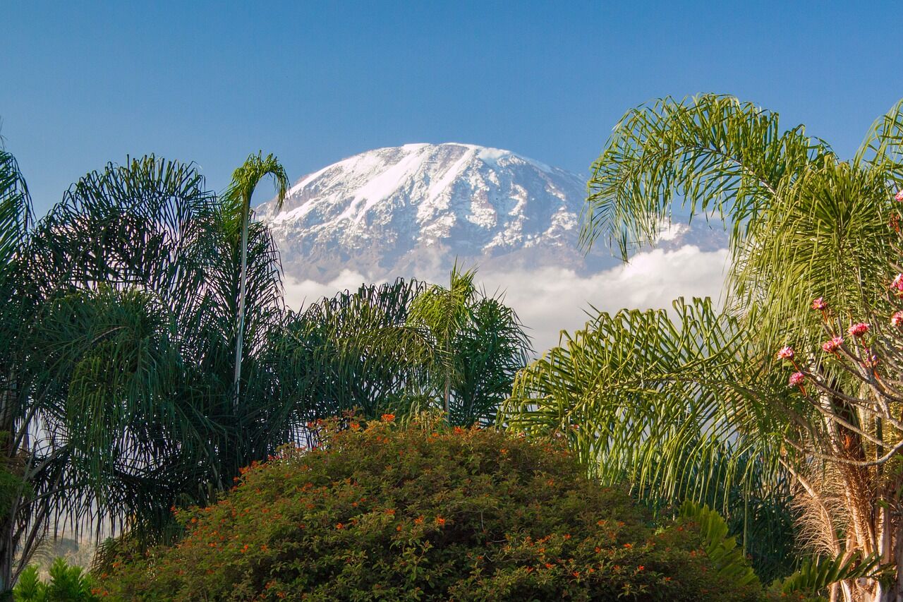 Vue du Kilimandjaro en Tanzanie