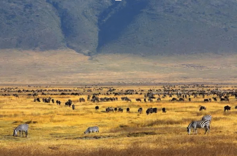 Ngorongoro — cratère classé UNESCO