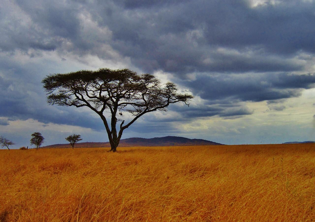 Escapade romantique express en Tanzanie