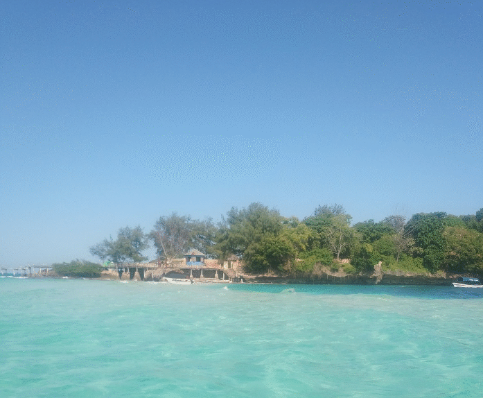 Pemba Island, île verte et préservée de l'archipel de Zanzibar