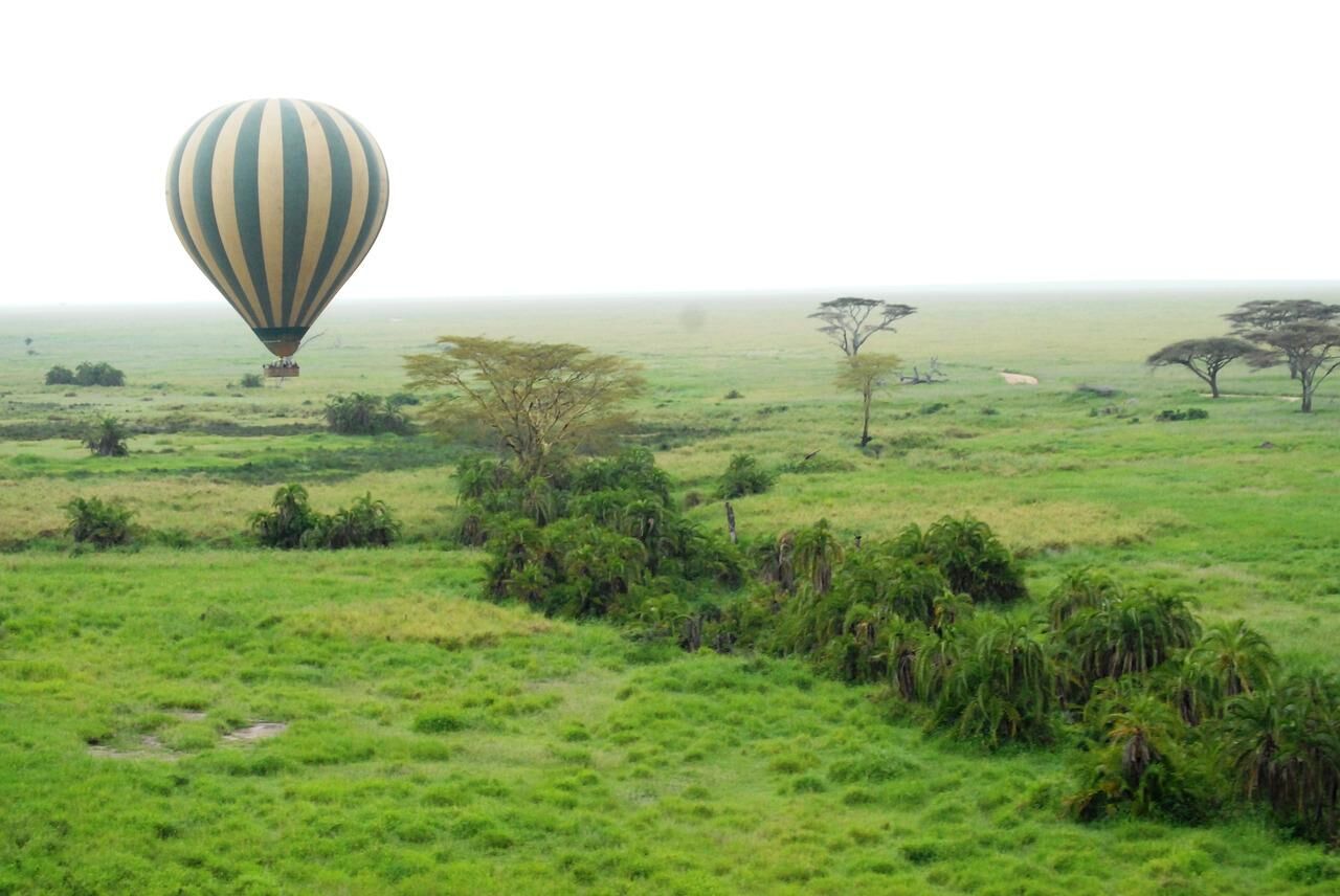 Serengeti Tanzanie — savane et Grande Migration