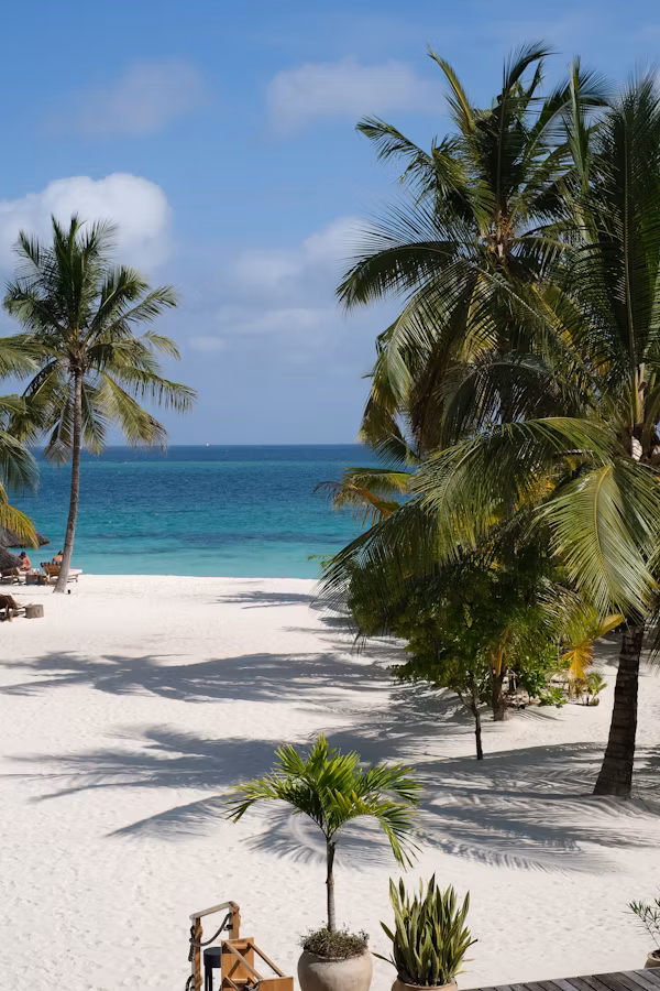 Voyage de groupe en Tanzanie et Zanzibar autour de la CAN 2027 — Safari & Wellness Africa